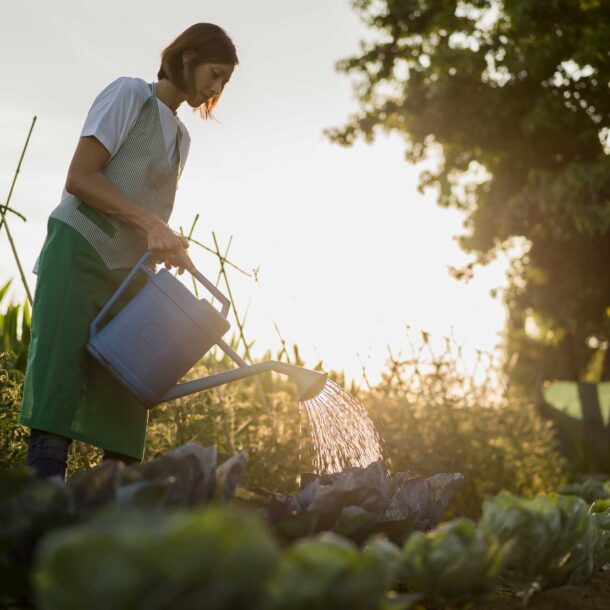 Gardening for your Health - Newcastle Gardeners
