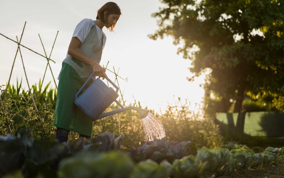 Gardening for your Health - Newcastle Gardeners
