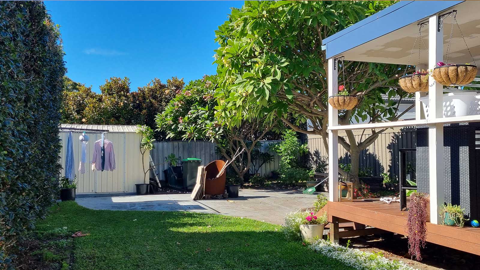 A second view of the Adamstown backyard after the garden redesign