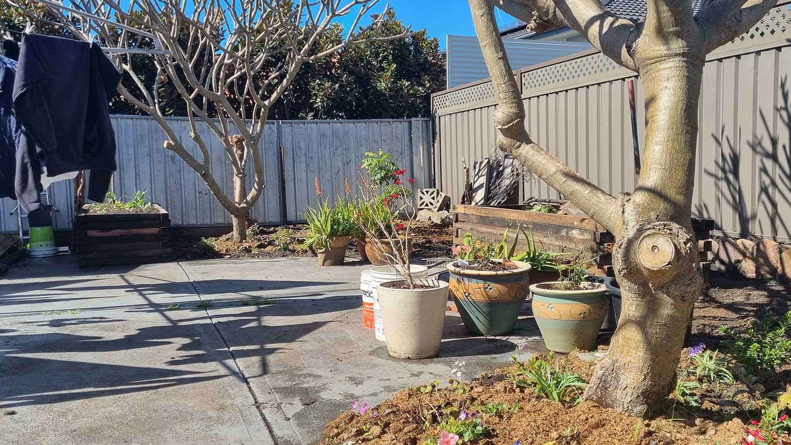 Adamstown backyard before the garden redesign
