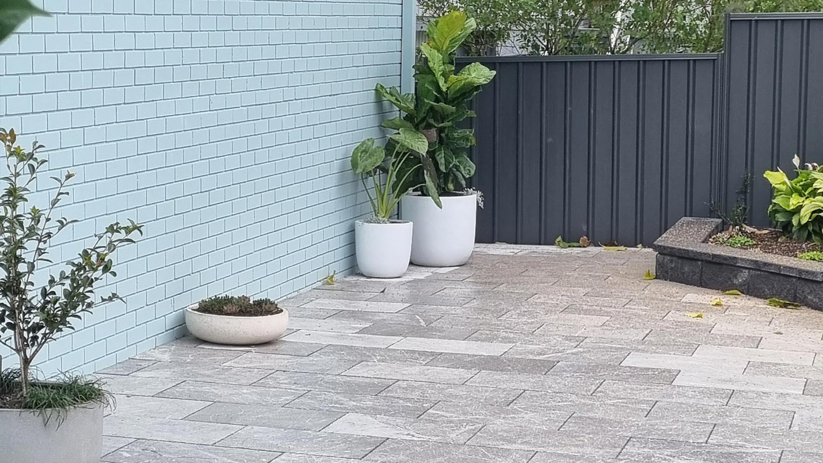 Nelson Bay side courtyard after the light grey paving, drainage improvements and container planting