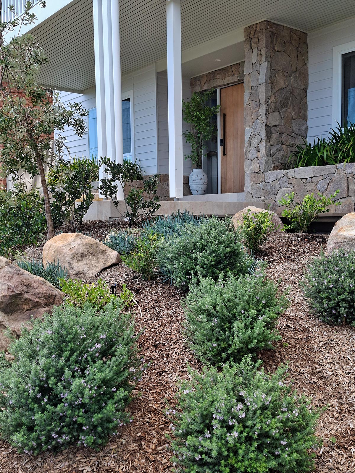 Shoal Bay entrance garden after coastal planting, local rocks and low-maintenance landscaping were completed